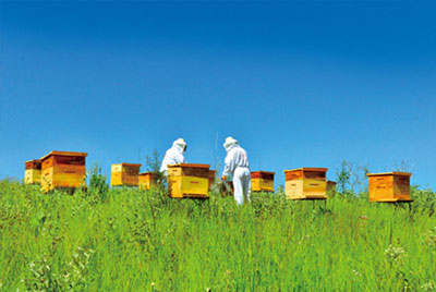 杭州蜂之语蜂业股份有限公司